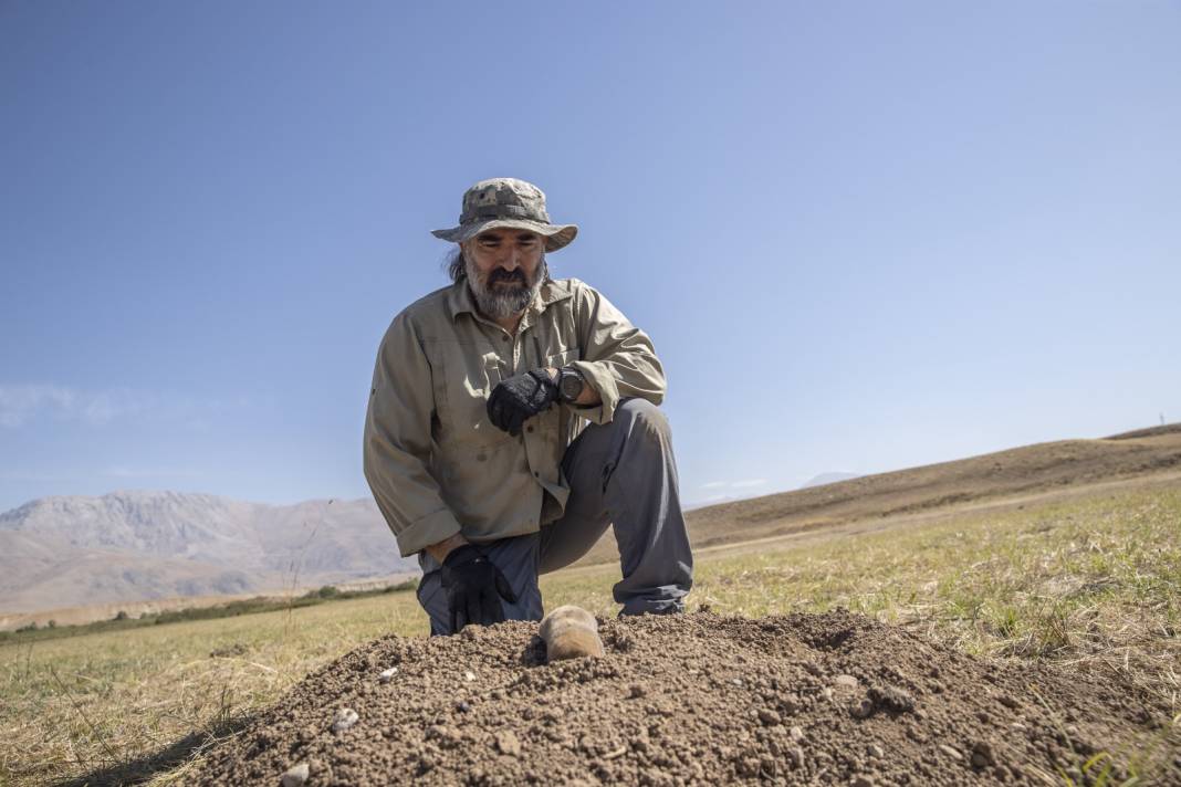 Tunceli'de bulundu: Uzmanlar tespiti koydu! Kansere yakalanmıyor 8